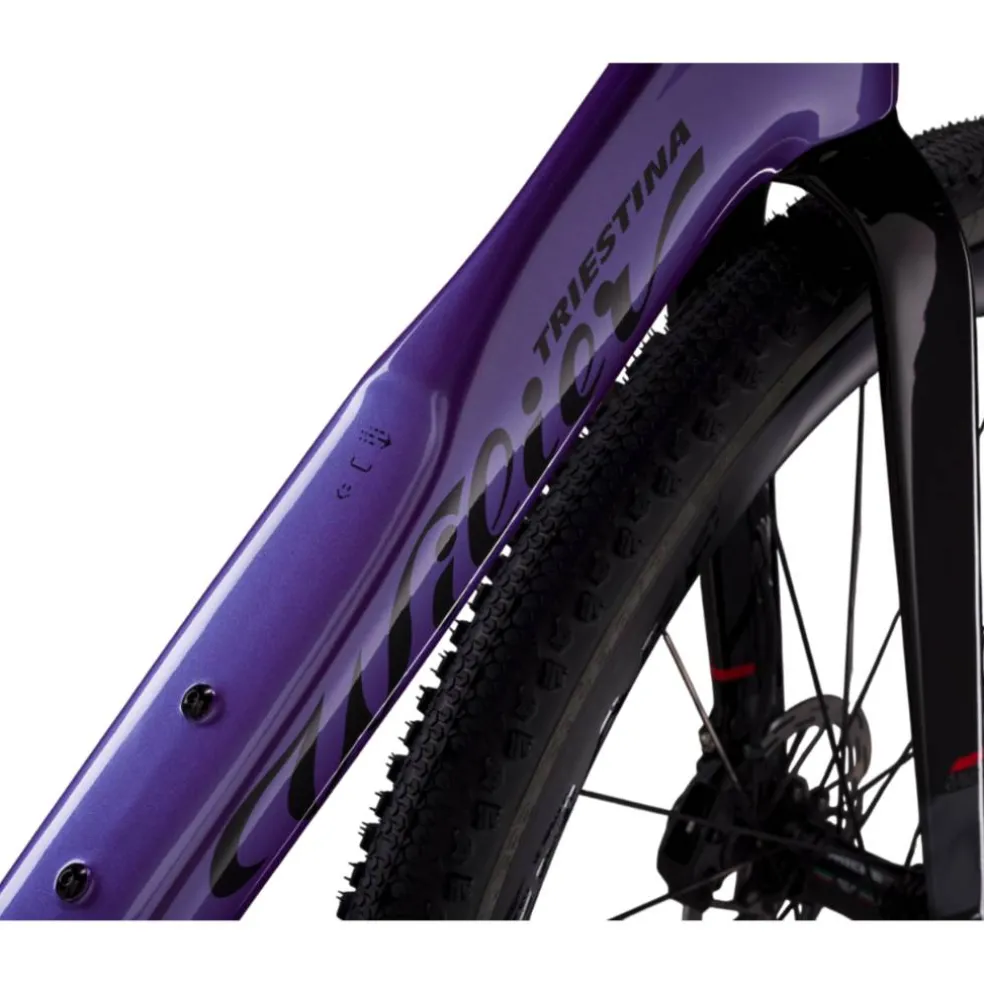 Wilier Rave SLR ID2 GRX 1x12 Di2 2026