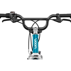 Woom GO 4 20 Inch Kinderfiets 2026