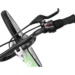 Woom GO 4 20 Inch Kinderfiets 2026