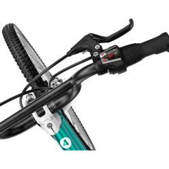 Woom GO 4 20 Inch Kinderfiets 2026