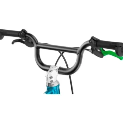 Woom GO 3 16 Inch Kinderfiets 2026