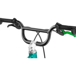 Woom GO 1 PLUS 14 Inch Loopfiets 2026